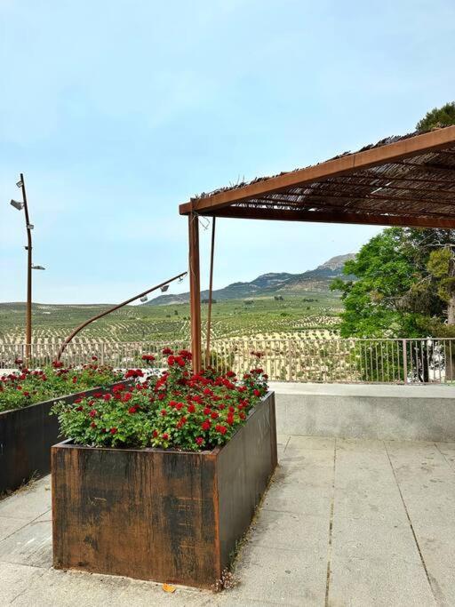 Los Molinos Quesada Esterno foto